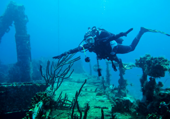 Plongée sous-marine à Argelès