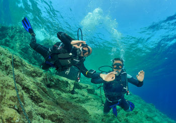 Que voir pendant une sortie en plongée sous-marine à Hyères ?