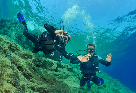 Que voir pendant une sortie en plongée sous-marine à Hyères ?